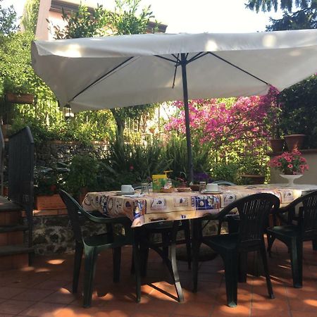 Villa Rosa Etna Apartments Zafferana Etnea Εξωτερικό φωτογραφία