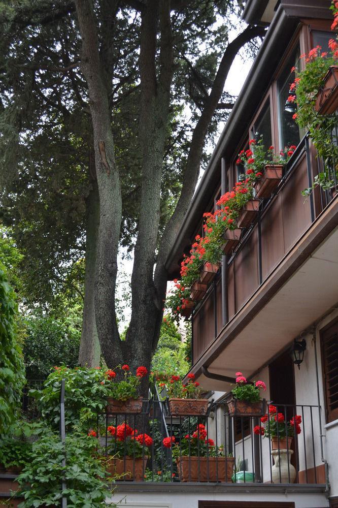 Villa Rosa Etna Apartments Zafferana Etnea Εξωτερικό φωτογραφία